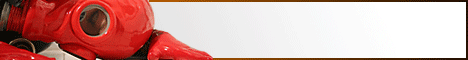Banner.gif