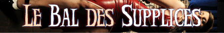 File:Banniere bds.gif