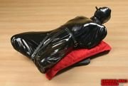 Hogsack1.jpg