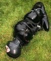 Hogtied-object.jpg