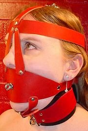Headharness.jpg
